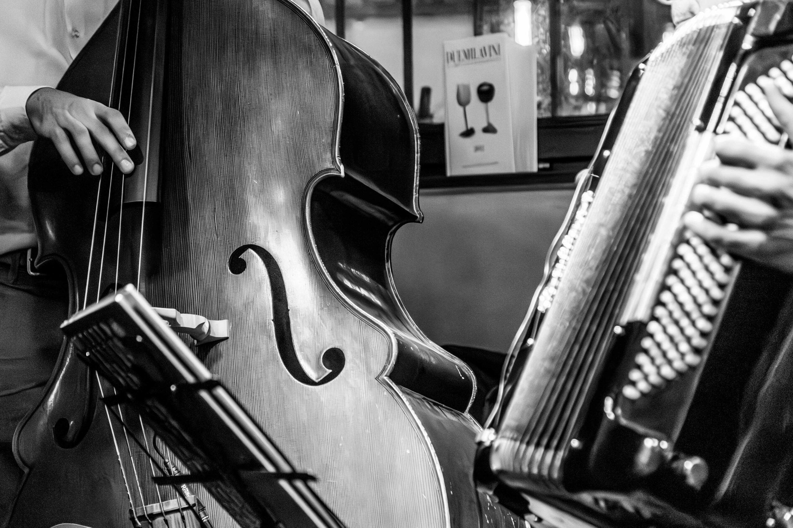 Musica dal vivo con contrabbasso e fisarmonica a Il Locale